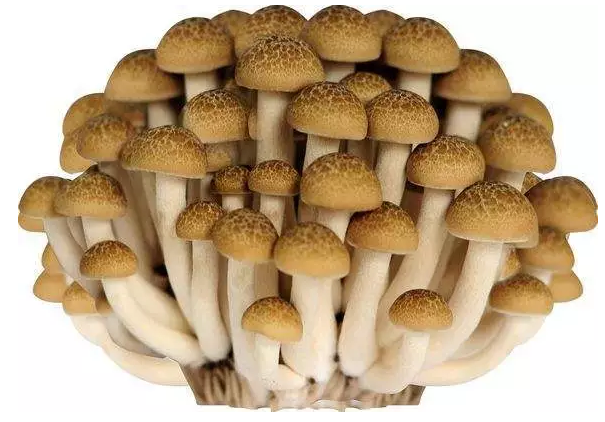 http://www.089531.cn/ewebeditor/uploadfile/20170914091421667001.png