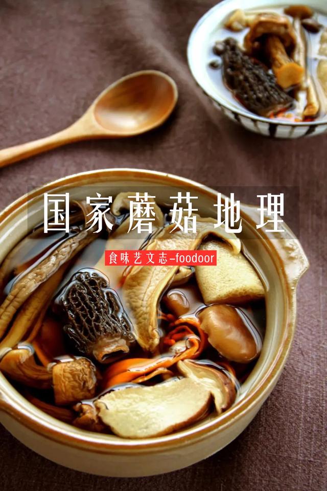 國家蘑菇地理：中國哪里的蘑菇最好吃？
