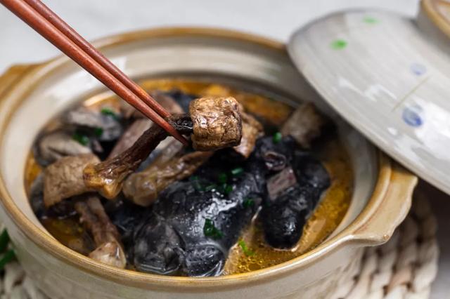 國家蘑菇地理：中國哪里的蘑菇最好吃？