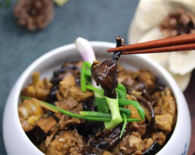 國家蘑菇地理：中國哪里的蘑菇最好吃？