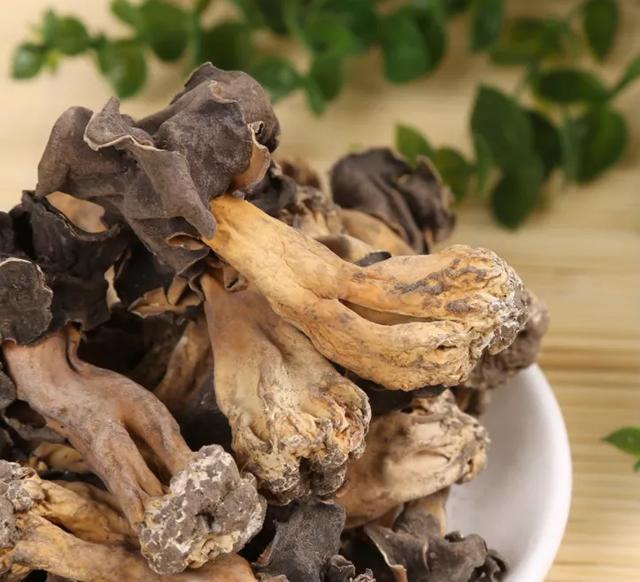 國家蘑菇地理：中國哪里的蘑菇最好吃？