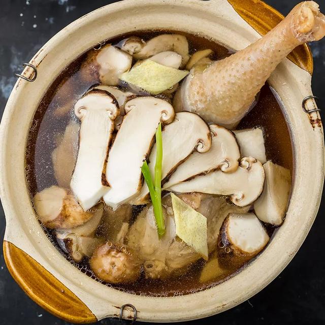 國家蘑菇地理：中國哪里的蘑菇最好吃？