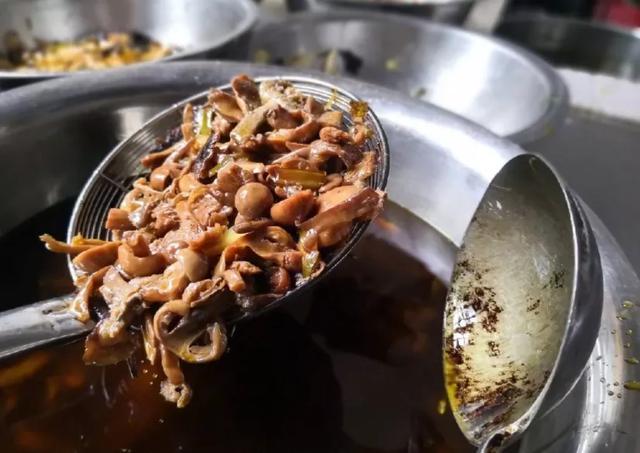 國家蘑菇地理：中國哪里的蘑菇最好吃？