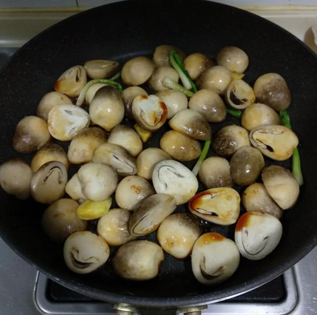 國家蘑菇地理：中國哪里的蘑菇最好吃？